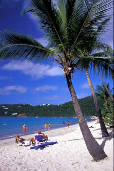 06 Megans Bay Beach, St Thomas